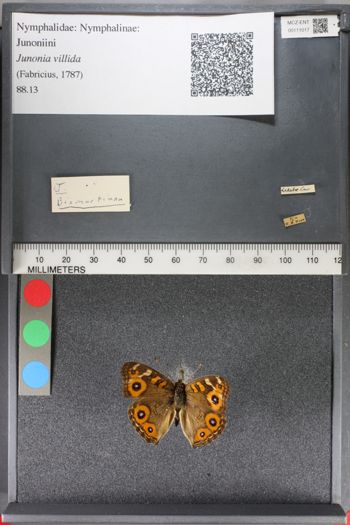 Media type: image;   Entomology 111017